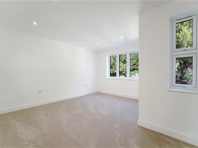 Picture 24